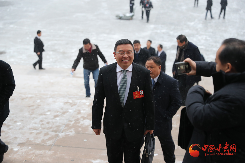 【聚焦2020甘肅兩會】“兩會”代表、委員風采掠影（組圖）