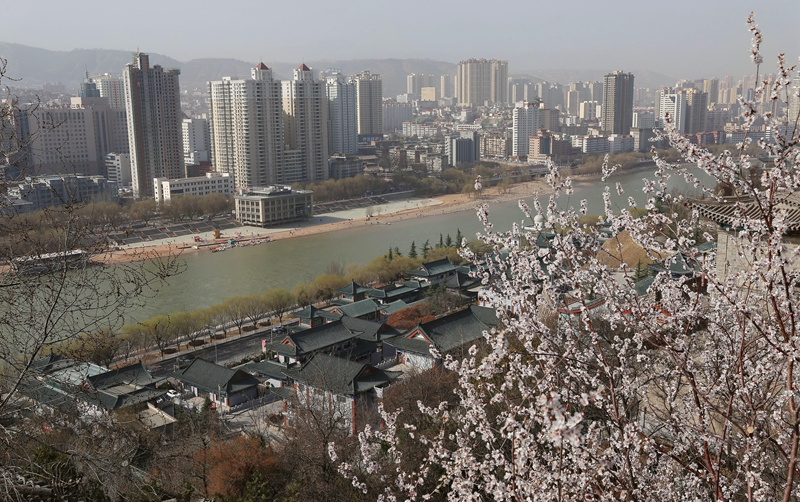 【春暖花開·蘭州】白塔層巒覓花海 一場(chǎng)春雨一城春 
