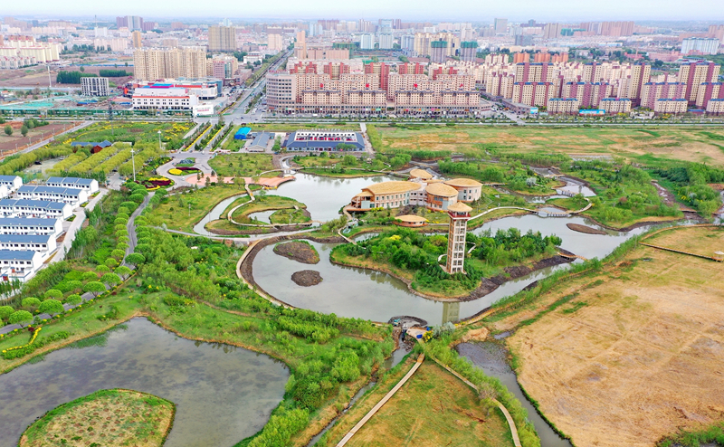 【飛閱甘肅】張掖國(guó)家濕地公園：湖光水色風(fēng)光美