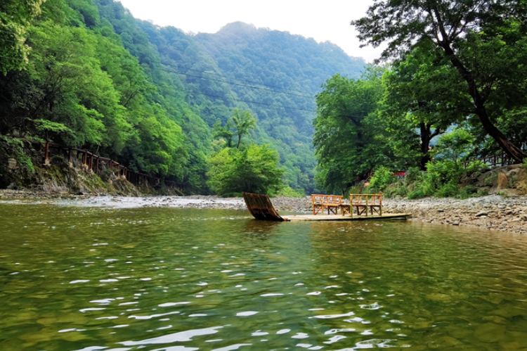 【小隴畫(huà)報(bào)·95期】康縣：來(lái)陽(yáng)壩，“森”呼吸，我“氧”你