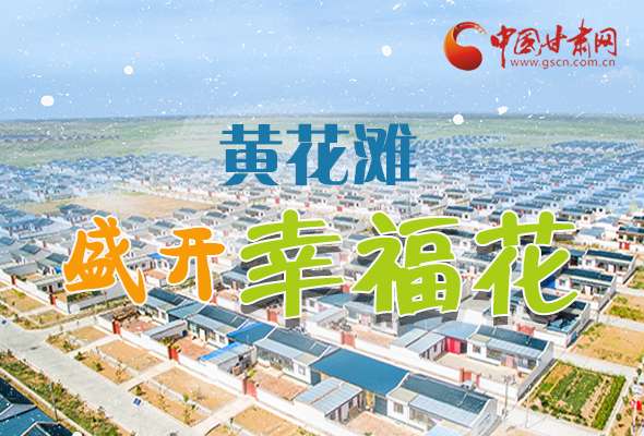 【跟著總書記看甘肅】長圖|武威黃花灘盛開幸?；?