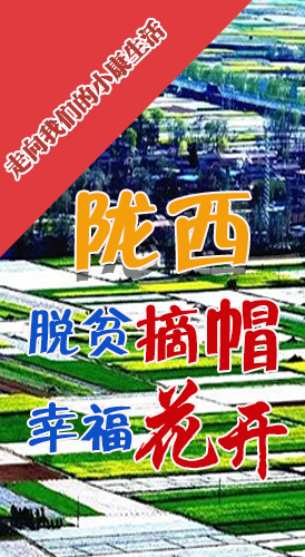 【走向我們的小康生活】長圖|隴西：脫貧摘帽 幸?；ㄩ_