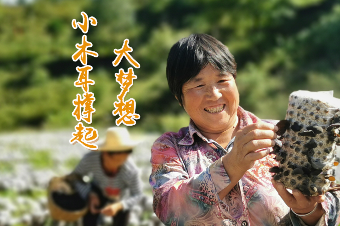 海報丨他們，乘“豐”破浪！
