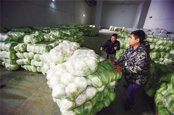 蘭州市已儲備1萬噸冬春蔬菜以耐貯存、易周轉(zhuǎn)品種為主