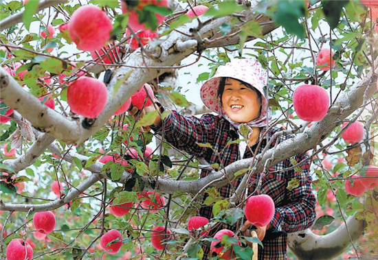 為特色“隴貨”打開(kāi)資本市場(chǎng)的大門——鄭州商品交易所服務(wù)甘肅農(nóng)特產(chǎn)品發(fā)展綜述