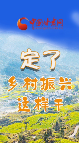 圖解|定了！全面推進鄉(xiāng)村振興這樣干！