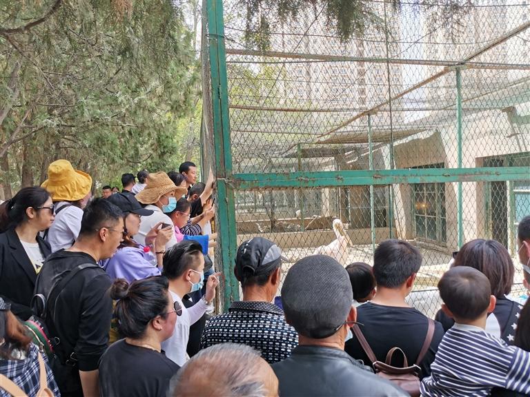 【蘭州市動(dòng)物園搬遷】守護(hù)者訴說(shuō)不了情