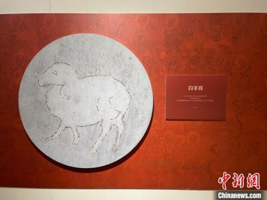 圖為展覽現(xiàn)場(chǎng)?！〗瓧顭?攝