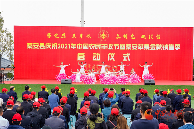 【慶豐收·感黨恩】天水秦安：豐收節(jié)曬蘋(píng)果 助力農(nóng)民有個(gè)好“錢(qián)”景