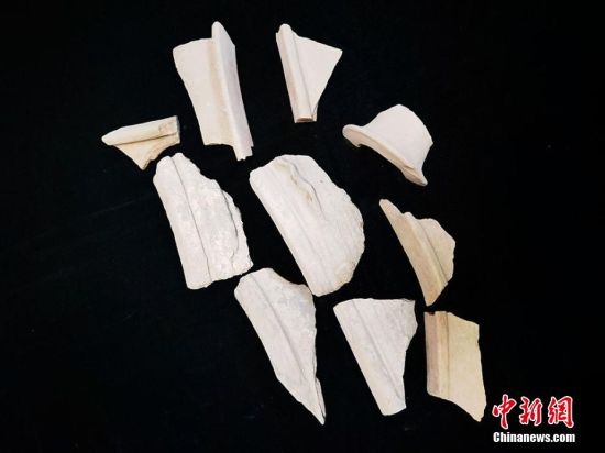 圖為靜寧縣賈河鄉(xiāng)竇坪村出土的彩陶片、紅陶片。 夏劍鋒 攝