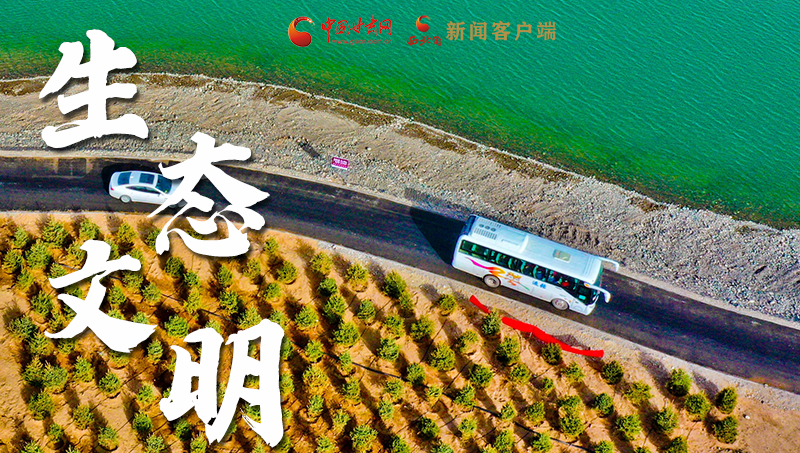 彈幕海報丨熱議甘肅省委十三屆十六次全會 網(wǎng)民聲音在回響！