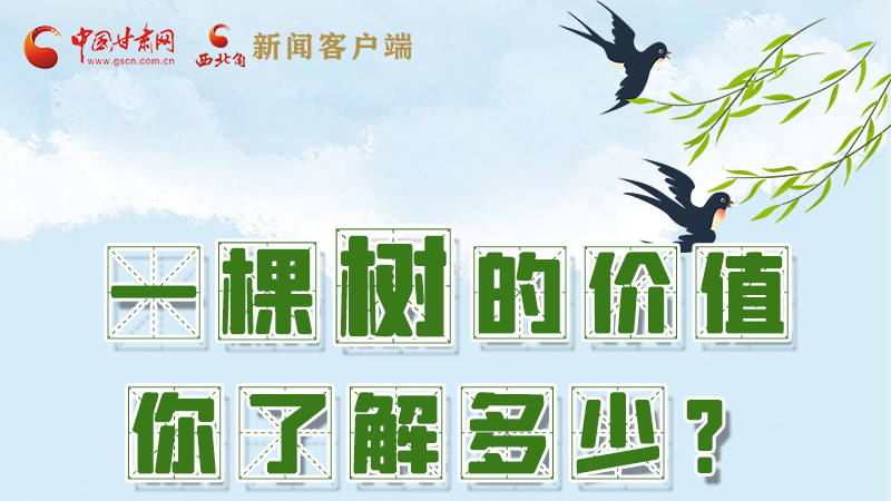 圖解|一棵樹的價值你了解多少?來看！