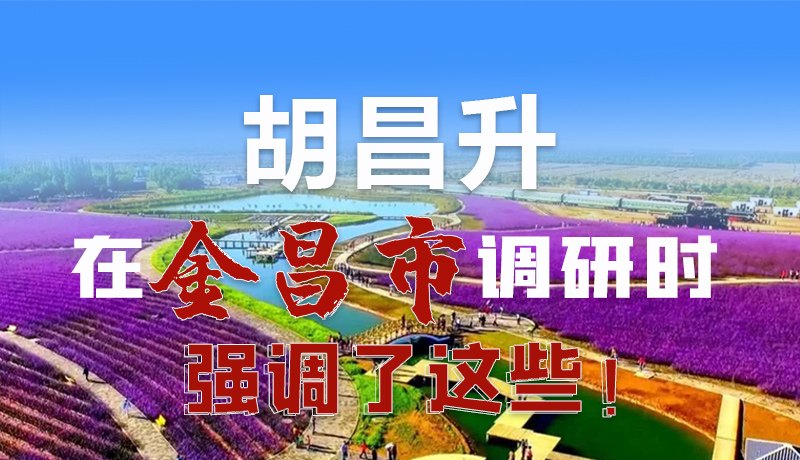 圖解|胡昌升在金昌市調(diào)研時強調(diào)了這些!