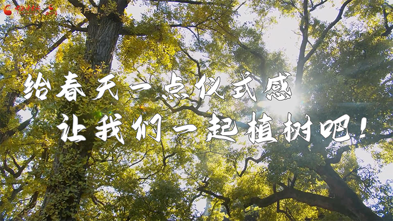 短視頻|給春天一點(diǎn)儀式感，讓我們一起植樹吧！