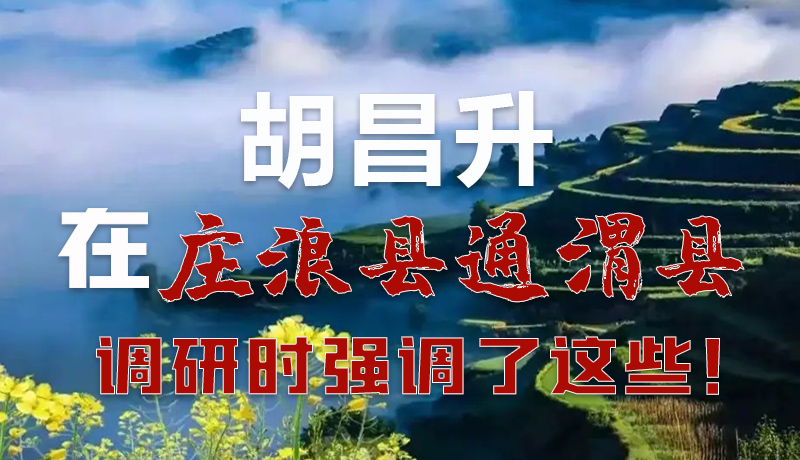 圖解|胡昌升在莊浪縣通渭縣調(diào)研時(shí)強(qiáng)調(diào)了這些！