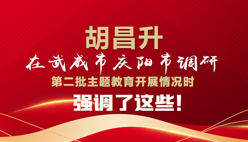 圖解|胡昌升在武威市慶陽市調(diào)研第二批主題教育開展情況時(shí)強(qiáng)調(diào)了這些！