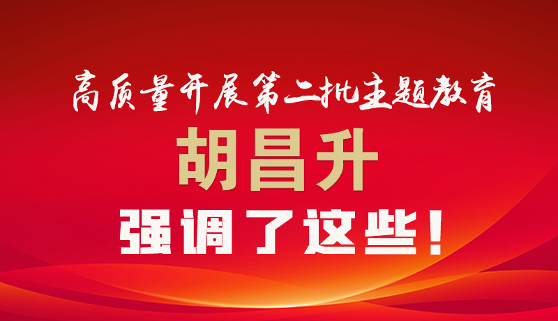 圖解|高質(zhì)量開展第二批主題教育 胡昌升強(qiáng)調(diào)了這些！