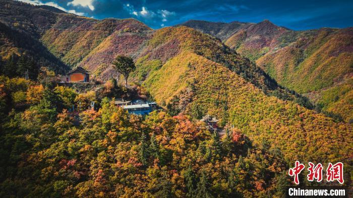 深秋，位于蘭州市榆中縣的興隆山，似打翻調(diào)色板。金峯 攝