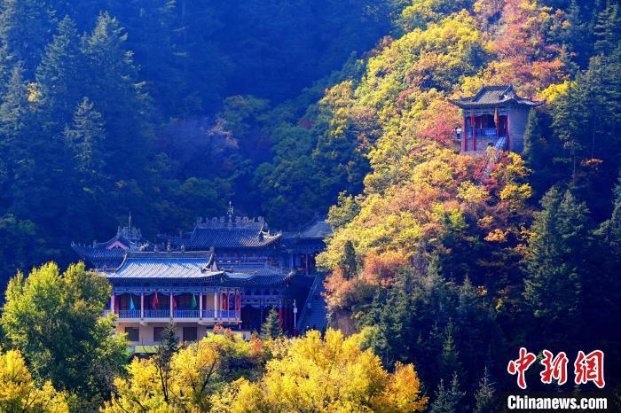 深秋，位于蘭州市榆中縣的興隆山景色如畫。宮衛(wèi)紅 攝