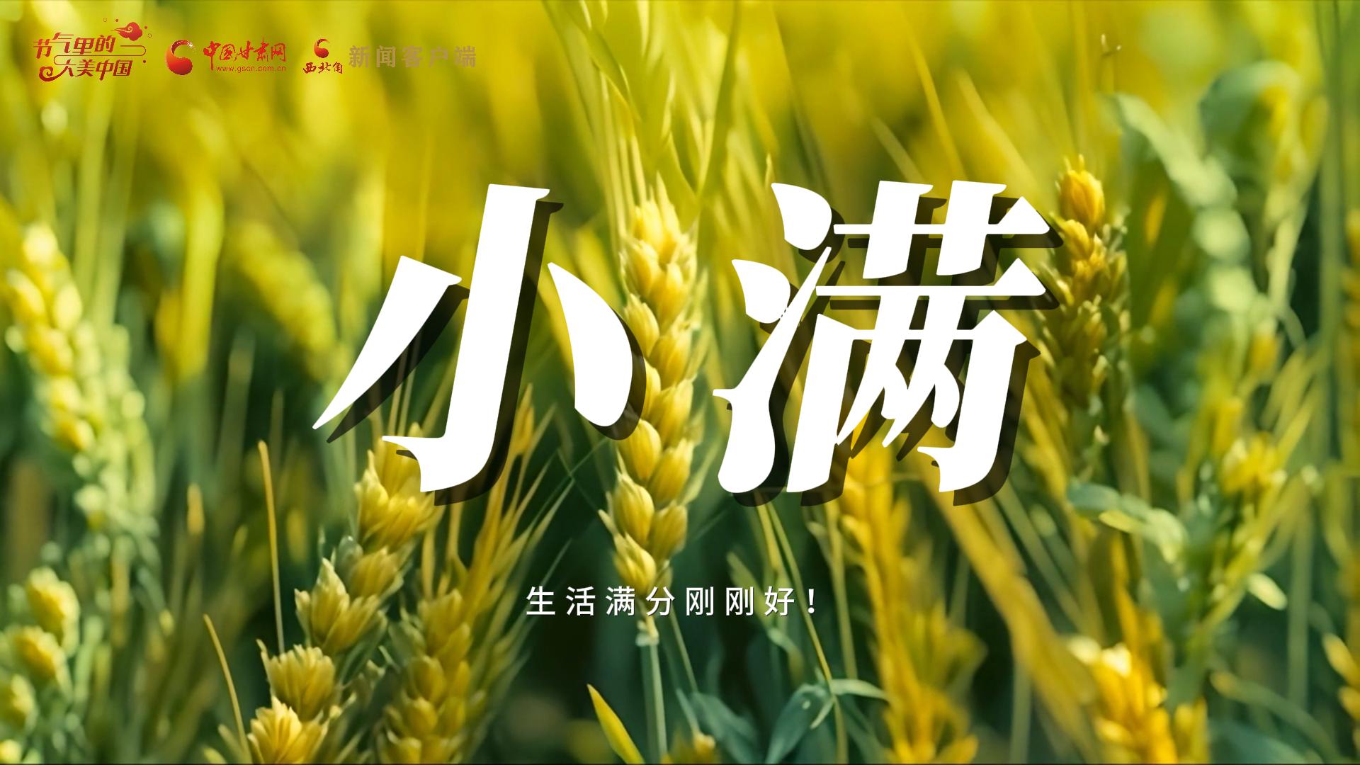 【節(jié)氣里的大美甘肅·小滿】生活滿分剛剛好！