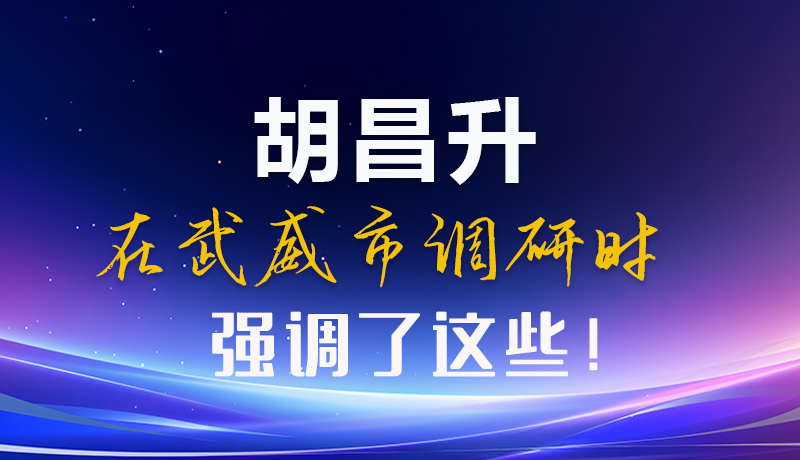 圖解|胡昌升在武威市調研時強調了這些！