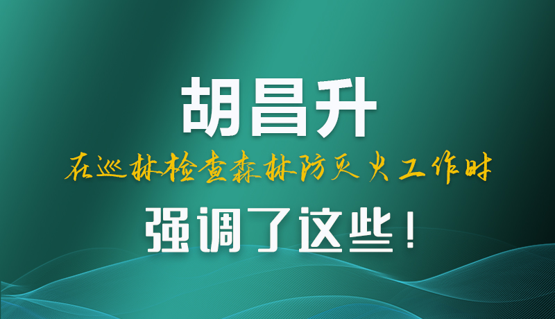 圖解|胡昌升在巡林檢查森林防滅火工作時(shí)強(qiáng)調(diào)了這些！