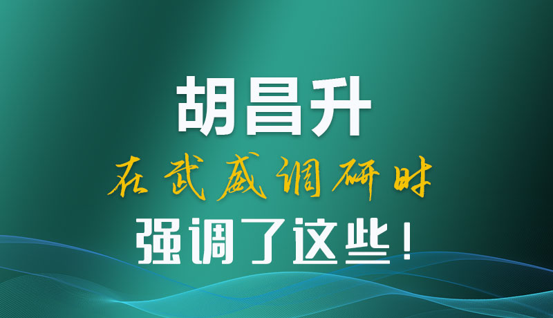 圖解|胡昌升在武威調(diào)研時(shí)強(qiáng)調(diào)了這些！