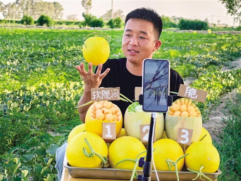 大漠深處，青春如梭梭般扎根